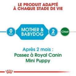 Royal Canin Mini Starter Mother & Babydog - 8.5Kg -Chien Fournitures Boutique royal canin mini starter mini starter 4